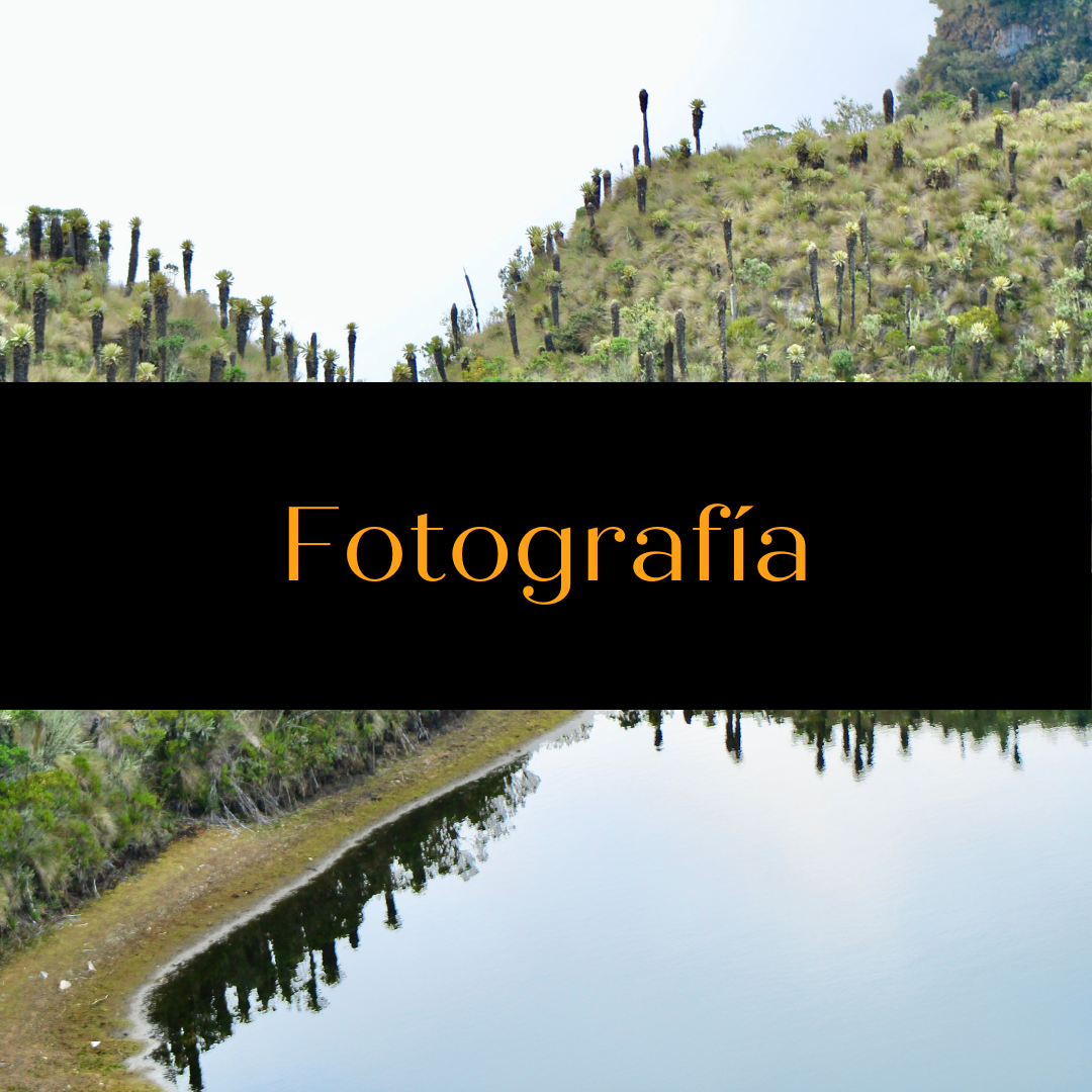 Fotografía